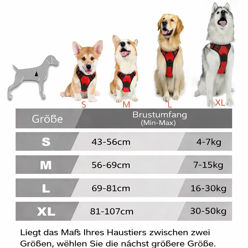 Komfort-Hundegeschirr